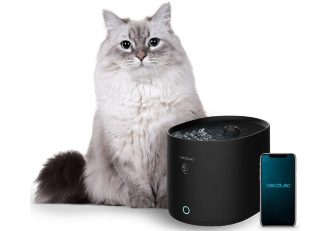 comederos inteligentes gatos